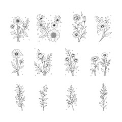 Fototapeta premium Set of floral skull vector illustrations combining skeletons with decorative flowers