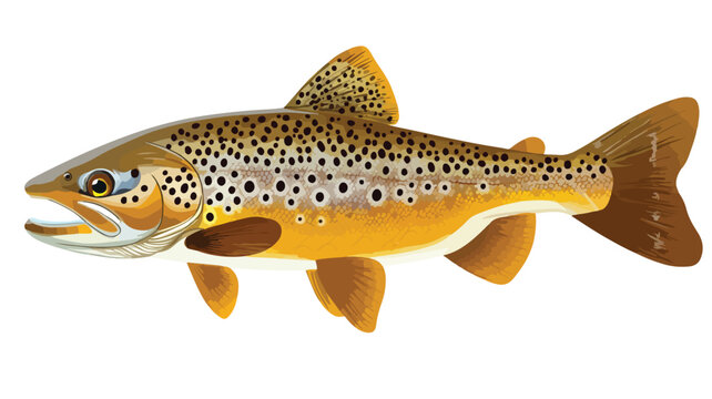Detailed Brown Trout Fish in Black and White Vector Illustration for Designs