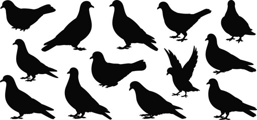 Vector pigeon silhouette set, bird shapes, flying and standing pigeons, black bird illustration, urban animal, wildlife icon, editable design