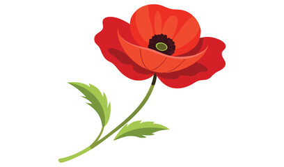 Single red poppy flower with green stem and leaves