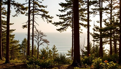 a serene forested area by the ocean. tall trees with slender trunks stretch towards the sky