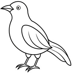 Fototapeta premium vector illustration of a bird