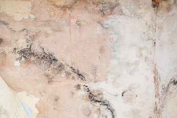 Black mould and peeling wallpaper caused by damp 
