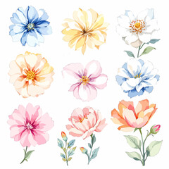 Obraz premium Set of watercolor color flowers on white background, wildflower clipart vector for graphic resources