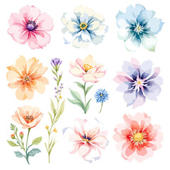 Obraz premium Set of watercolor flowers on white background, wildflower clipart vector for graphic resources