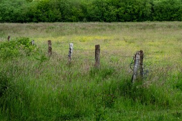 Old wooden fence dividing lush green fields in irish countryside