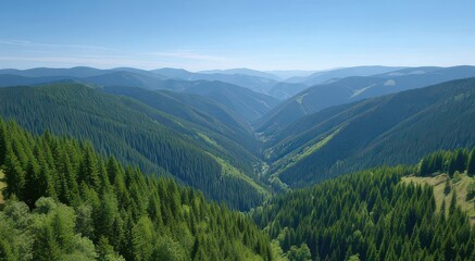Obraz premium Scenic Mountain Valley with Dense Forests and Rolling Hills