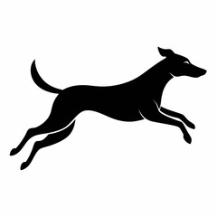 Fototapeta premium silhouette of a dog