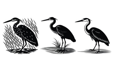 White heron, a wild bird of nature with a long beak, a silhouette against the water