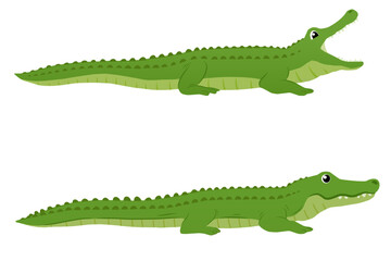 Crocodile in vector format. Ready to use for branding and graphic design.