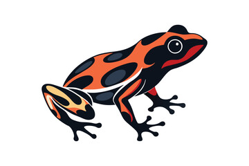 poison dart frog on white background