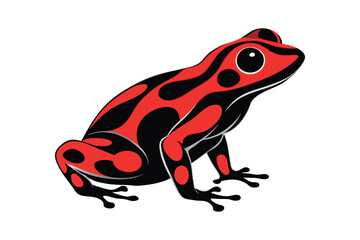 poison dart frog on white background