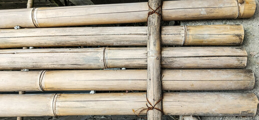 close up of bamboo