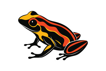 frog isolated on white background