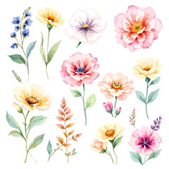 Obraz premium Set of watercolor abstract flowers on white background, wildflower clipart vector for graphic resources