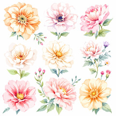 Set of watercolor abstract flowers on white background, wildflower clipart vector for graphic resources