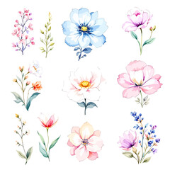  Set of watercolor abstract flowers on white background, wildflower clipart vector for graphic resources