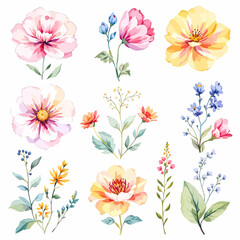 Set of watercolor flowers on white background