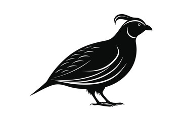 Obraz premium Quail bird silhouette black style with white background