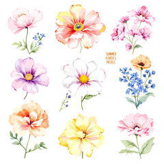 Set watercolor Flowers Clipart, wildflower clipart vector for graphic resources