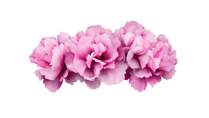 Delicate Pink Flower Crown, Floral Arrangement, Botanical Beauty