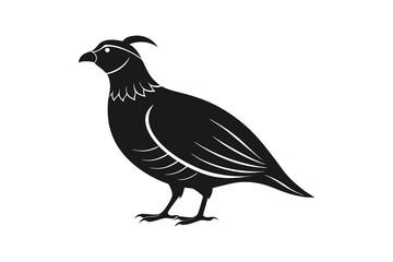 Fototapeta premium Quail silhouette vector isolated on white background