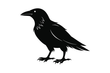 Obraz premium raven silhouette vector illustration on white background