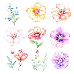 Set watercolor Flowers Clipart, wildflower clipart vector for graphic resources