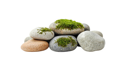 Serene Stones with Moss A Collection of Smooth River Rocks