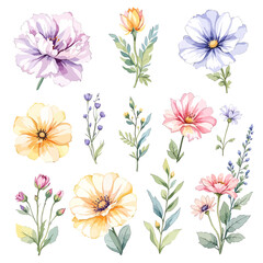 Obraz premium Set watercolor Summer Flowers Clipart, Beautiful floral bouquet illustrations set with watercolor hand drawn flowers