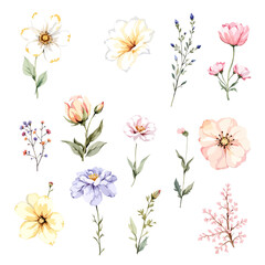 Set watercolor Flowers Clipart, wildflower clipart vector for graphic resources
