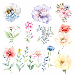 Set watercolor Flowers Clipart, wildflower clipart vector for graphic resources