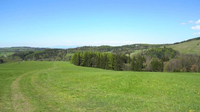 A wooded, hilly rural area on a sunny day - view from a trodden track in a meadow