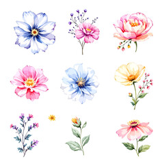 Set watercolor Flowers Clipart, Big floral illustrations set with watercolor hand drawn flowers. Stock clip art