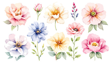 Set of watercolor flowers on white background