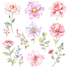 Watercolor floral illustration set with delicate flowers and leaves, isolated on white background. Soft watercolor floral bouquet set © Watercol