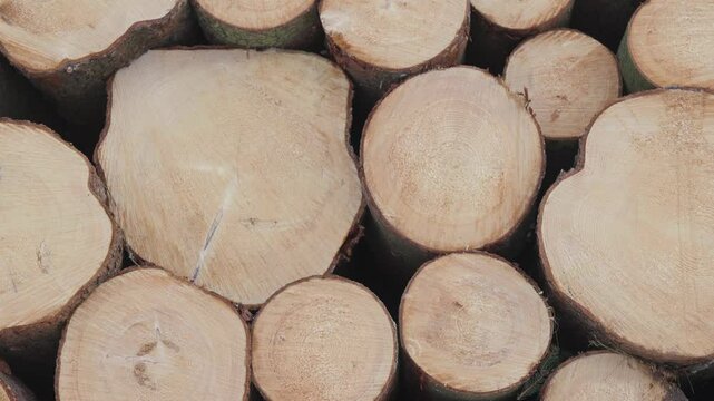 Closeup on a large stack of logs