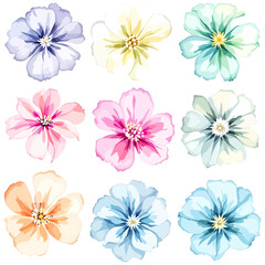 Fototapeta premium Set watercolor Flowers Clipart, Big floral illustrations set with watercolor hand drawn flowers. Stock clip art