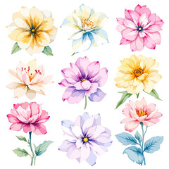 Fototapeta premium Watercolor floral illustration set with delicate flowers and leaves, isolated on white background