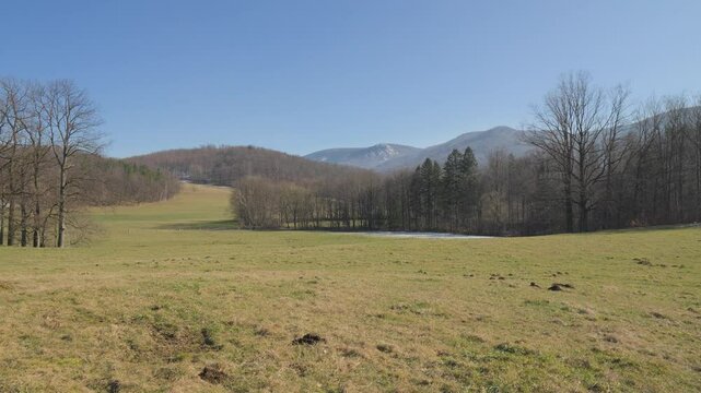 A meadow surrounded by hills and woods in wilderness on a winter day