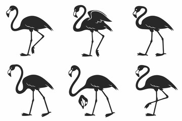 set of flamingos