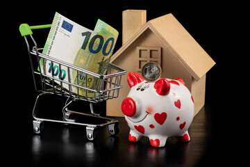 1 euro coin, symbolic wooden house, 100 euro banknote and supermarket shopping trolley on black...