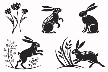 black and white rabbits