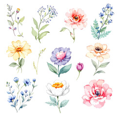Set watercolor Flowers Clipart, wildflower clipart vector for graphic resources