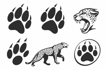 leopard print collection