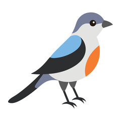vector flat color shrike on the white background.