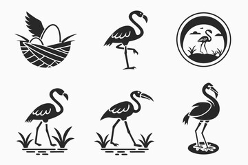 Obraz premium set of birds