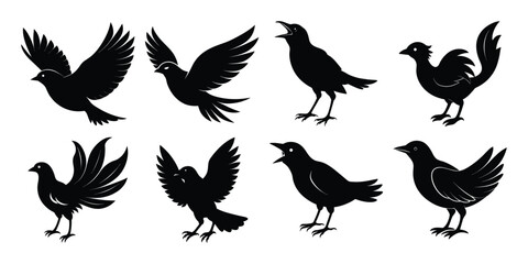 Bird Silhouette Vector Bundle with white background 