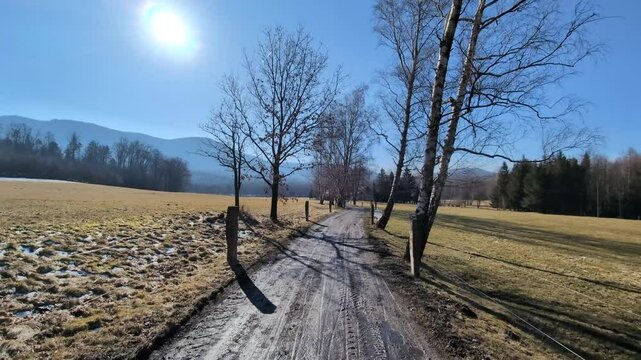 A walk down the dirt road through a muddy rural area on a sunny day