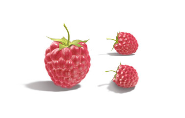 Raspberry berries mockup, different views, depth of field